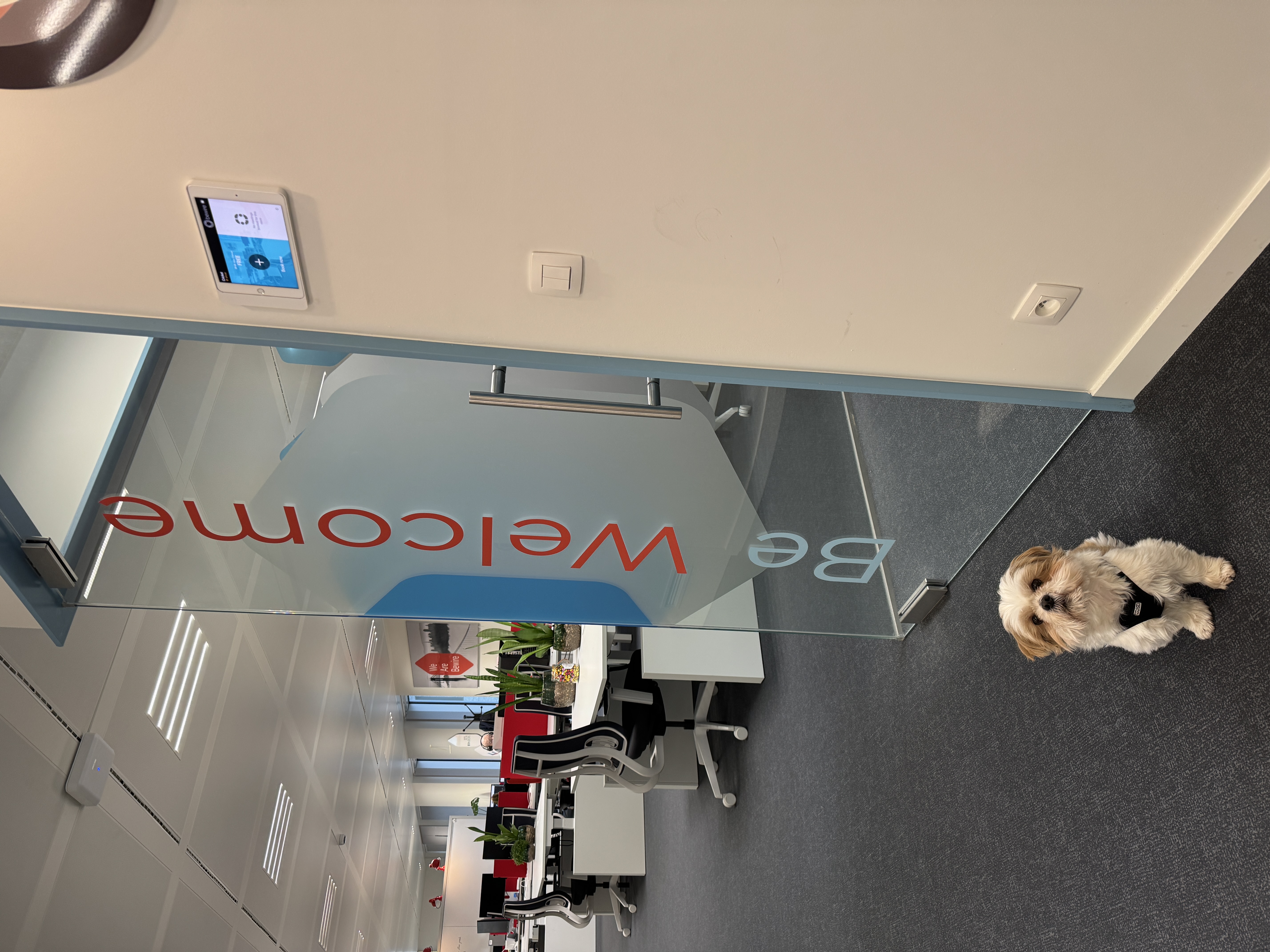 James, de BOD: Bewire Office Dog