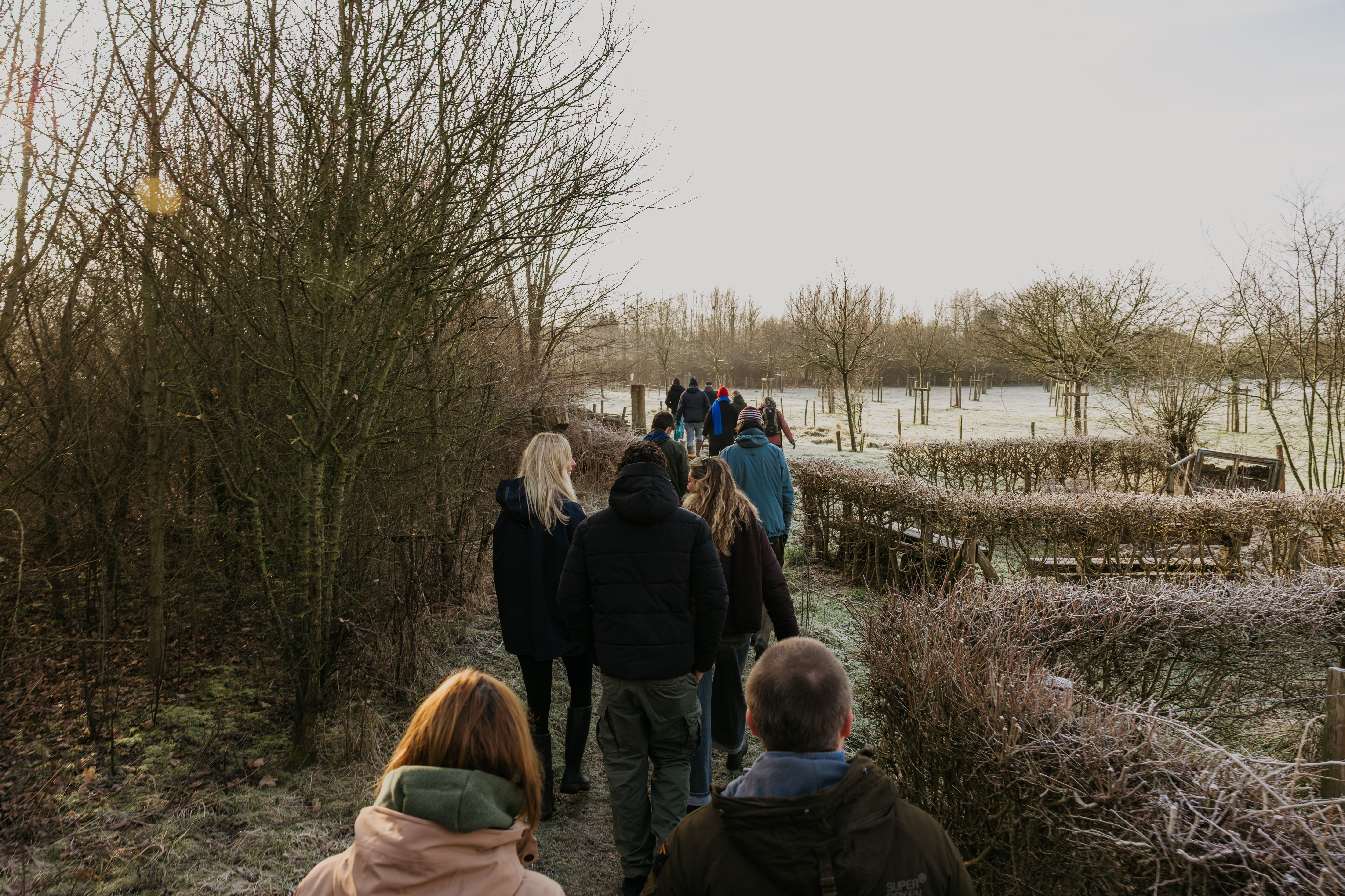 We contribute to a greener future by planting our own TriForest.