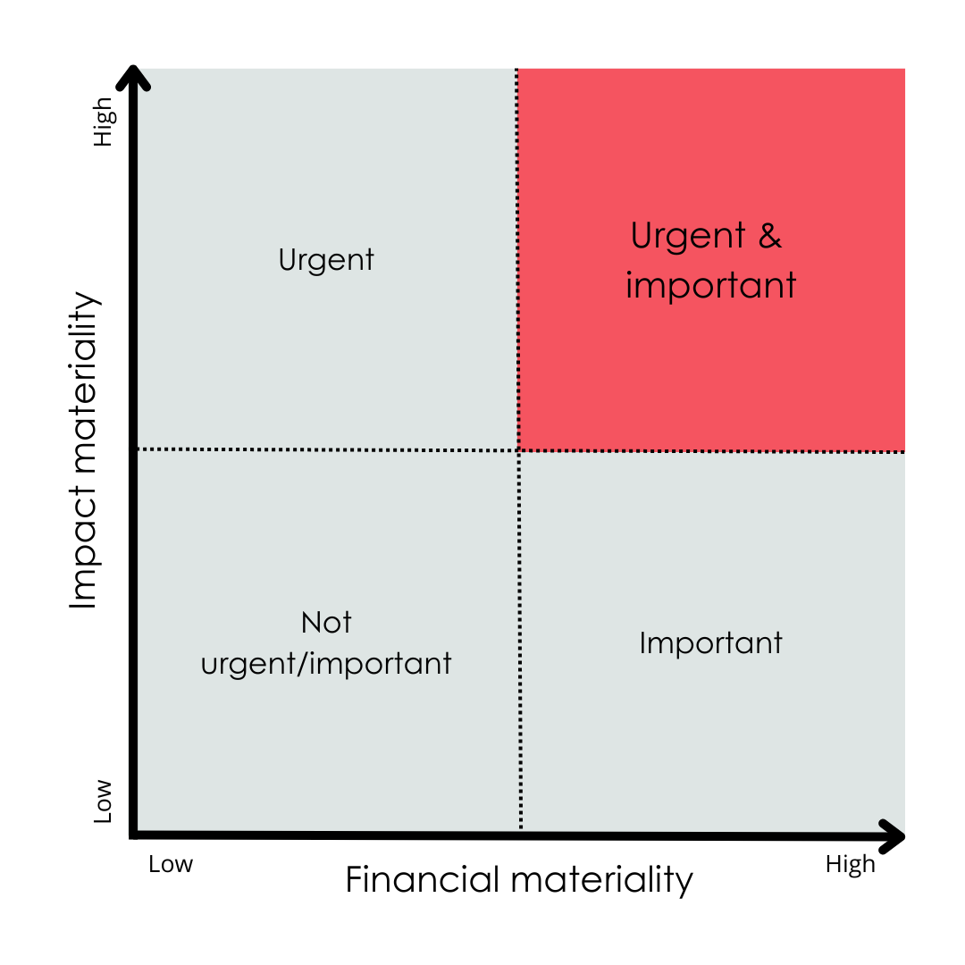 Materiality Matrix 2